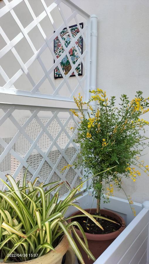 Villa Con Piscina Uso Esclusivo Mazara del Vallo Eksteriør bilde